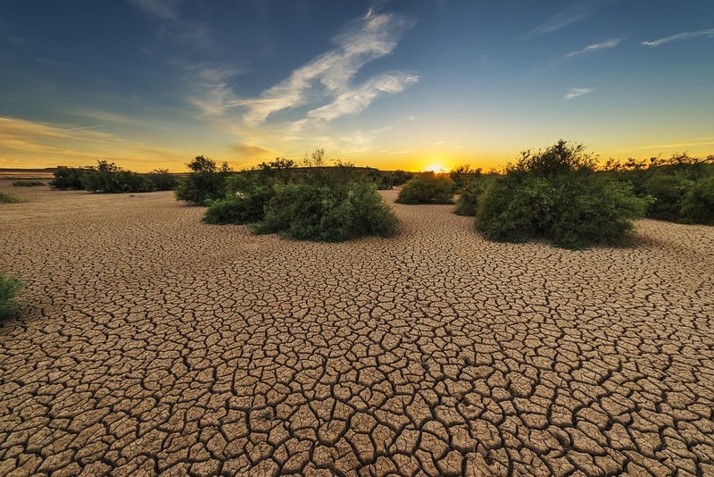 Desert Landscape